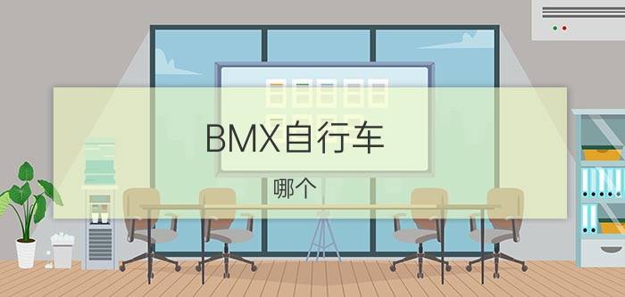 BMX自行车（哪个 品牌 好）